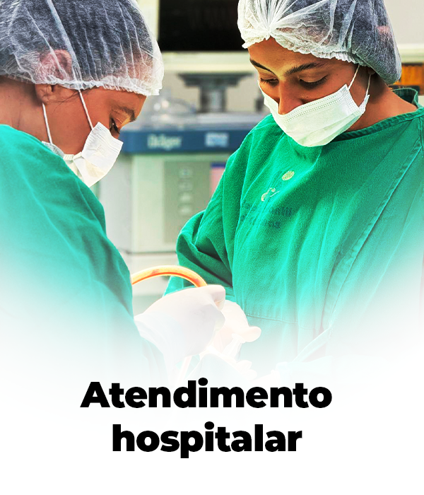 Prancheta 1 copiar 3